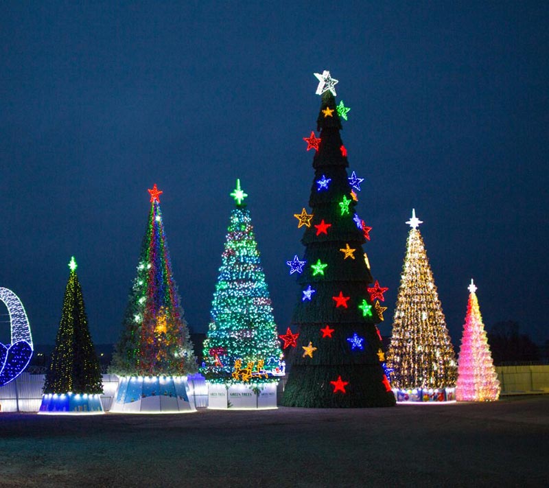 Уличные ёлки в Архангельске