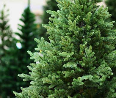 Искусственные ёлки в Архангельске