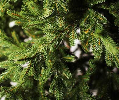 Искусственные ёлки люкс в Архангельске