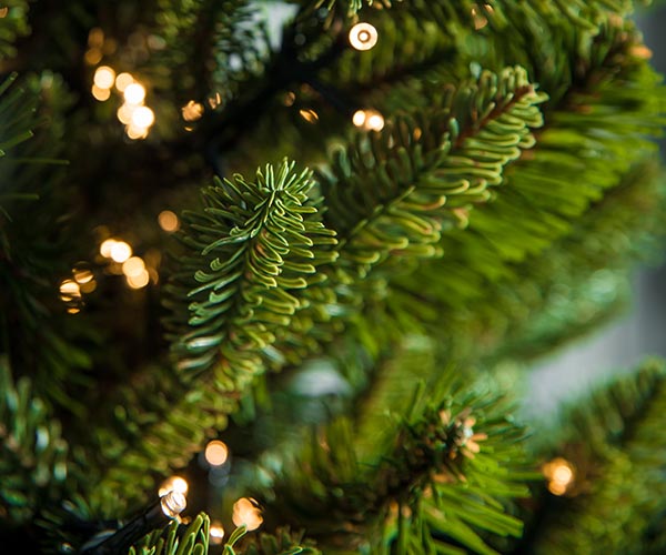 Гирлянды для комнатных ёлок в Архангельске