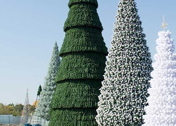 Высотные ёлки в Архангельске